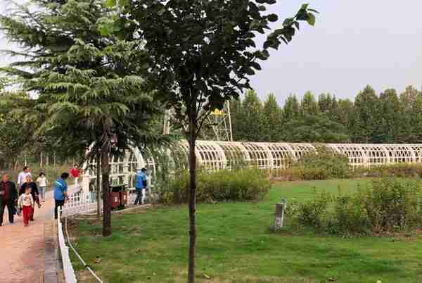 郑州树木园，面积大空气好，人少幽静，跑步散步都舒服，还免费
