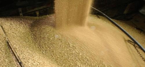 期货基础——豆粕品种产业链图及关联外盘
