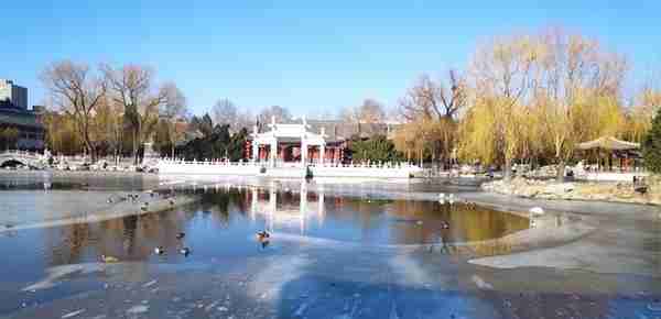 一座再现中国古典文学名著《红楼梦》景观的仿古园林——大观园