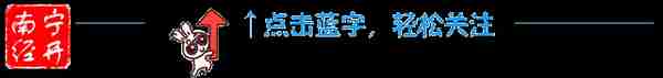 领取养老金资格认证，南宁人可以“秒办”不跑腿！速收藏~