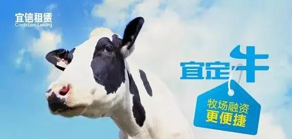 专访｜宜信租赁毛芳竹：农民是值得信赖的！