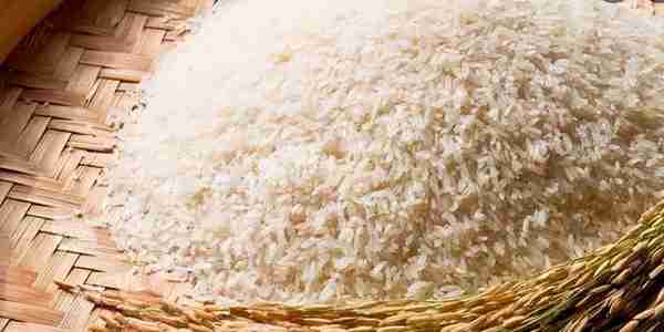 国际市场需求量增大，缅甸大米价格有可能持续上涨