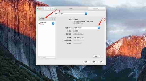 MAC(苹果电脑)设置自动IP地址、修改DNS