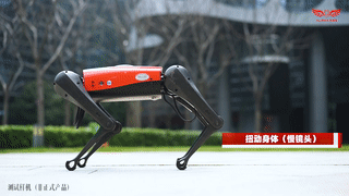 首发！全球行走速度最快的量产机器狗，蔚蓝阿尔法机器狗AlphaDog